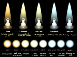 Nhiệt độ màu của đèn led?