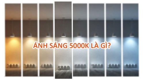 anh sang 5000K la gi