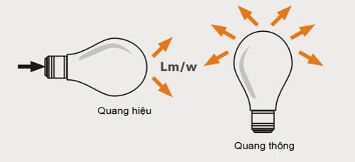 lumen la gi enavietnam (1)