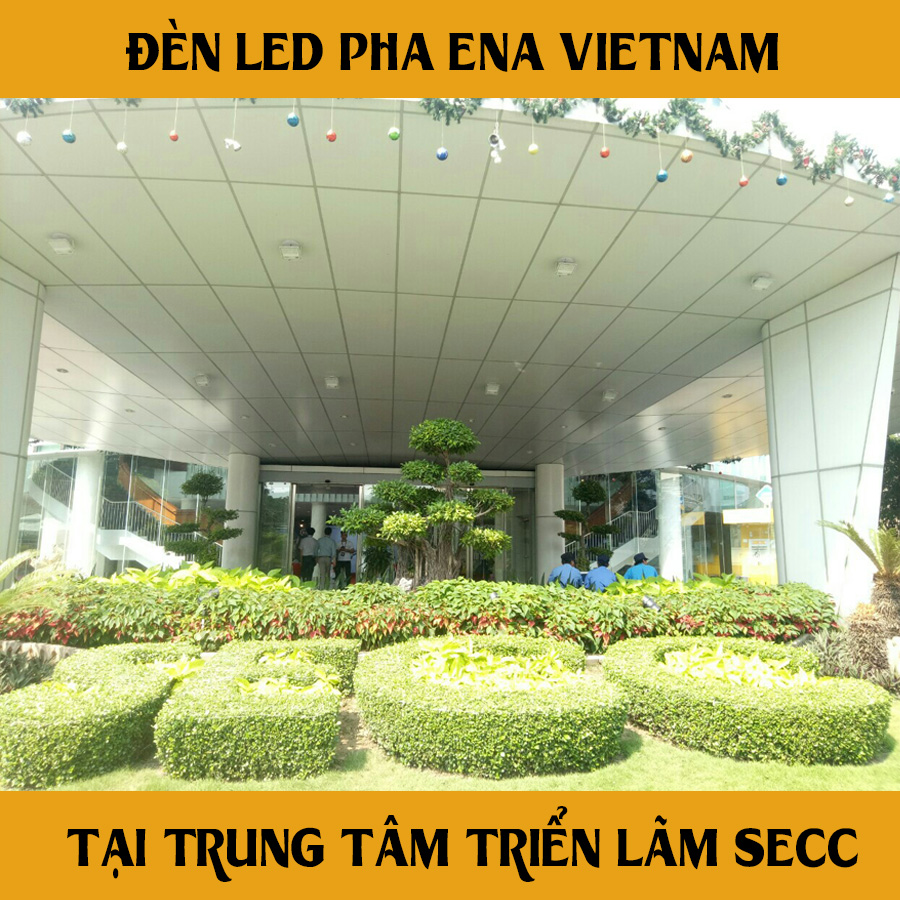 den pha phl ena tại secc