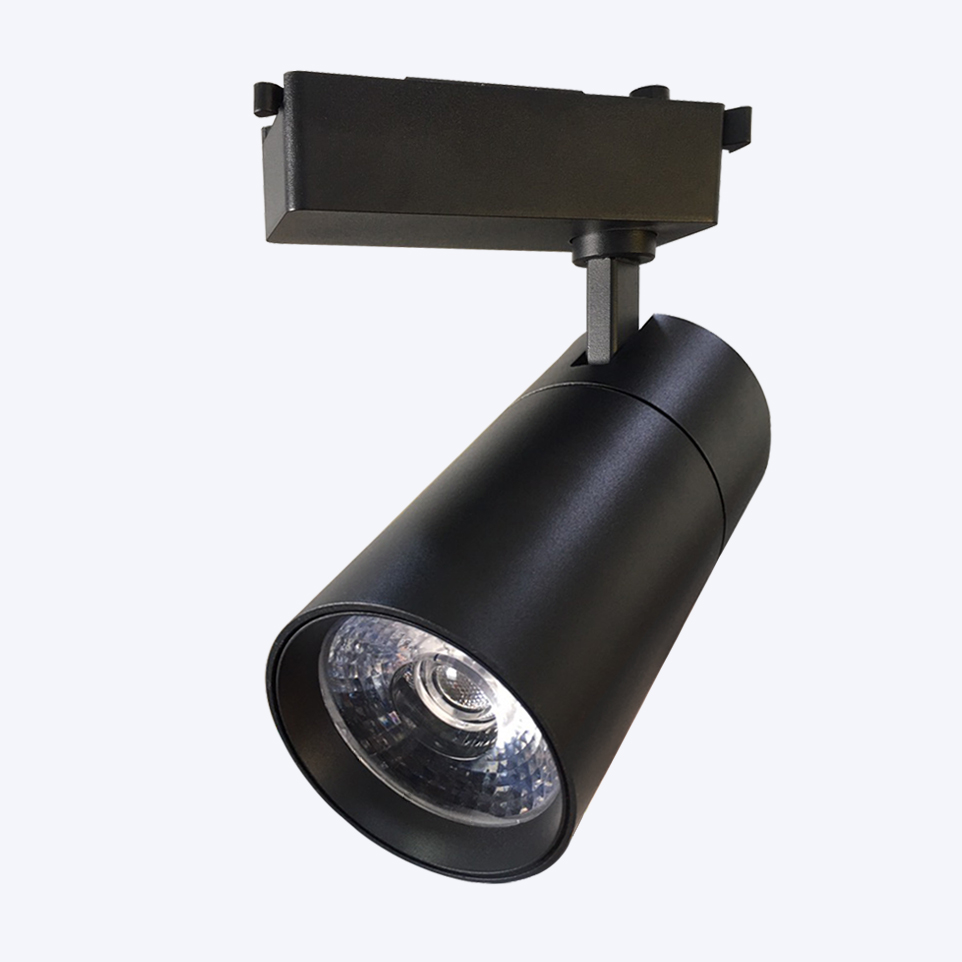 den led ray roi 24w 30w ENA (1)